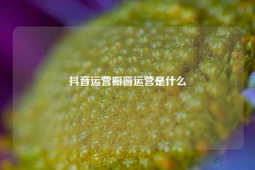 抖音运营橱窗运营是什么