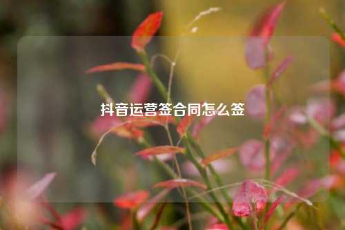 抖音运营签合同怎么签