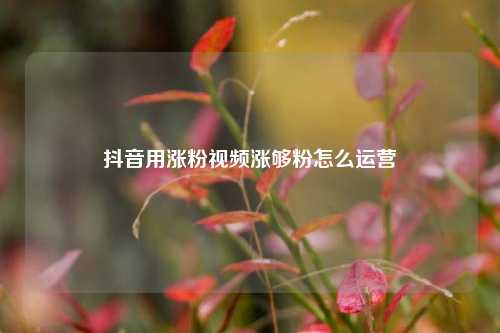 抖音用涨粉视频涨够粉怎么运营