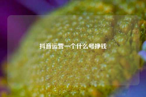 抖音运营一个什么号挣钱