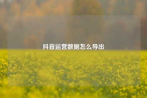 抖音运营数据怎么导出