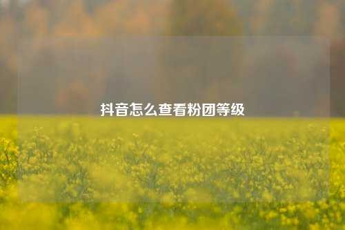 抖音怎么查看粉团等级
