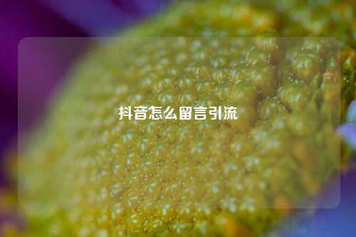 抖音怎么留言引流