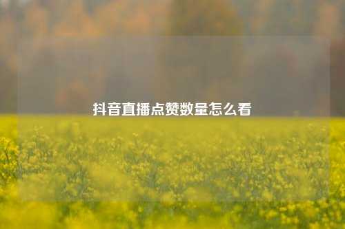 抖音直播点赞数量怎么看