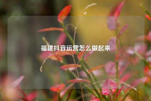 福建抖音运营怎么做起来