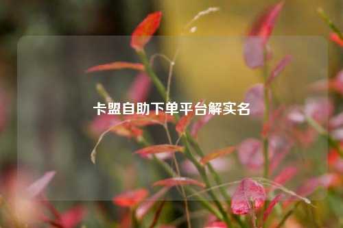 卡盟自助下单平台解实名