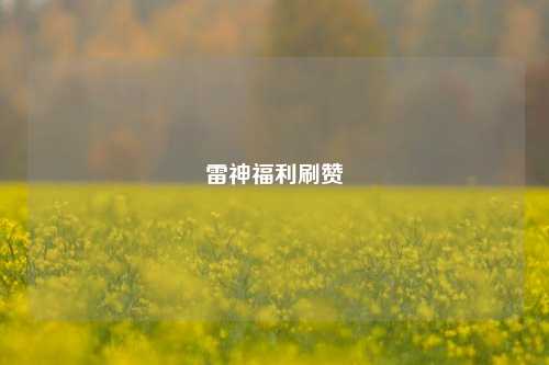 雷神福利刷赞