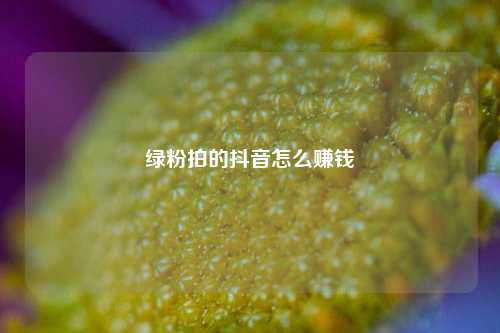 绿粉拍的抖音怎么赚钱