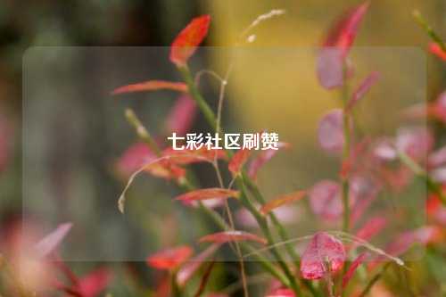 七彩社区刷赞