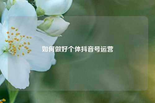 如何做好个体抖音号运营