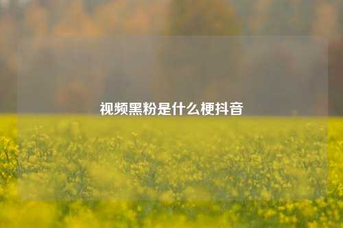 视频黑粉是什么梗抖音