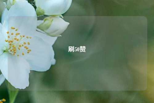 刷50赞