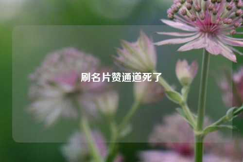 刷名片赞通道死了