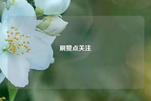 刷赞点关注
