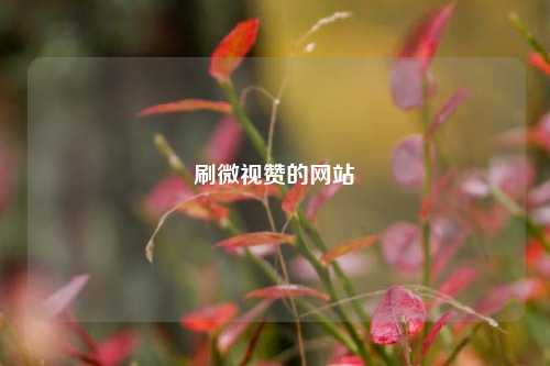 刷微视赞的网站