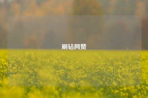 刷钻网赞