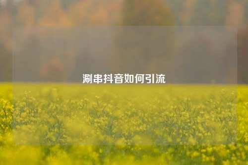 涮串抖音如何引流