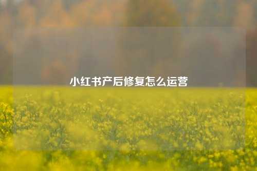 小红书产后修复怎么运营