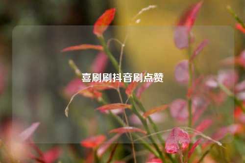 喜刷刷抖音刷点赞