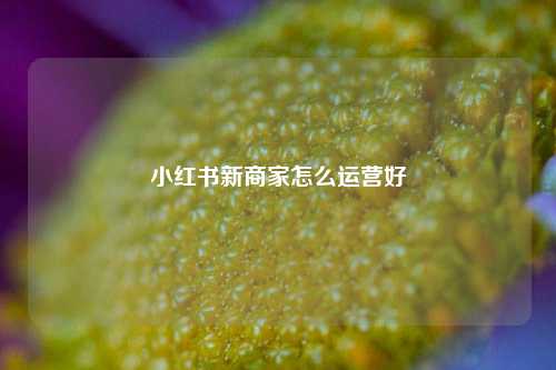 小红书新商家怎么运营好
